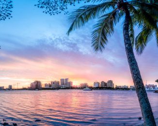West Palm beach skyline with Palm in foreground